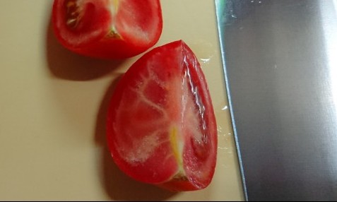 美味しい包丁で切ったトマトの断面